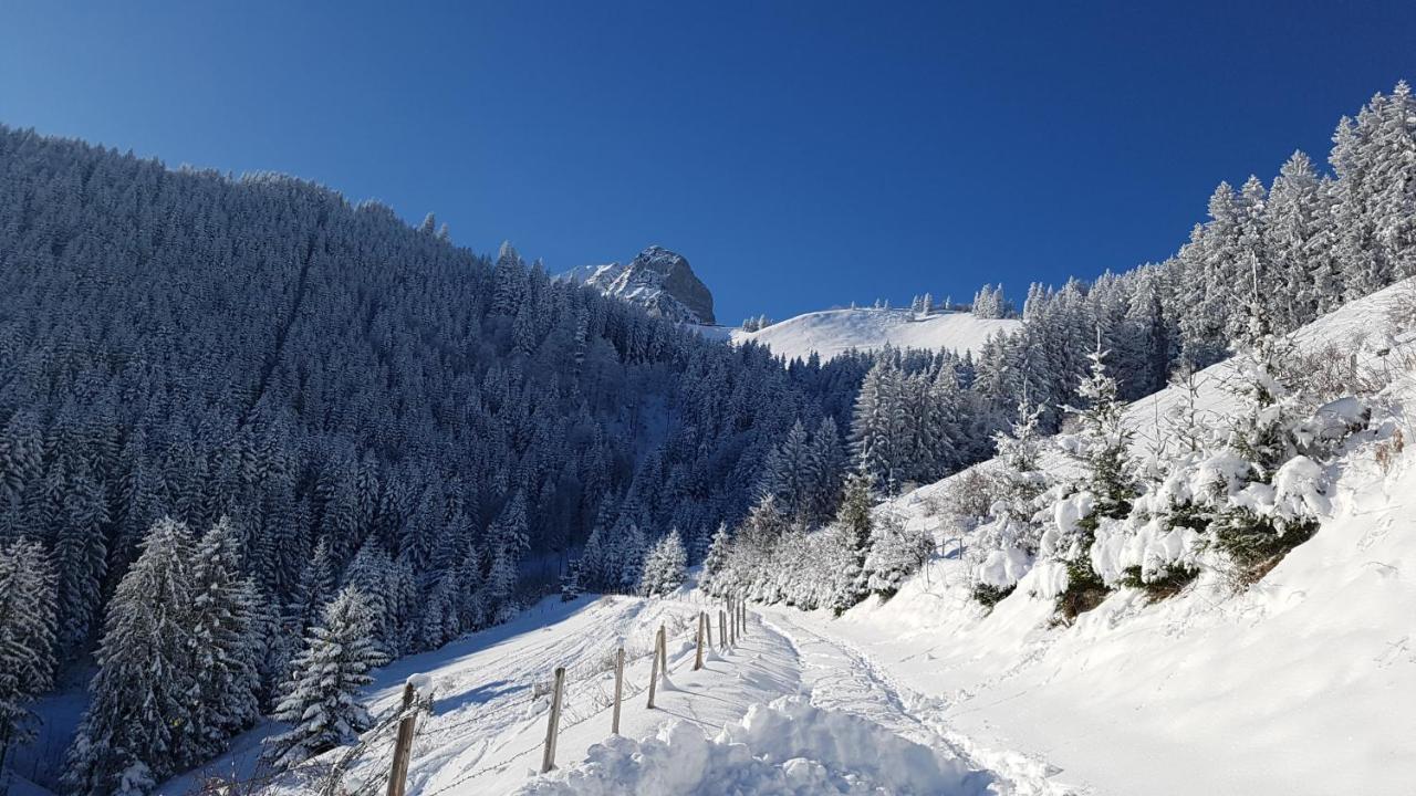 Charming Chalet With Panoramic View And Private Parking In Gruyere Грюйер Экстерьер фото