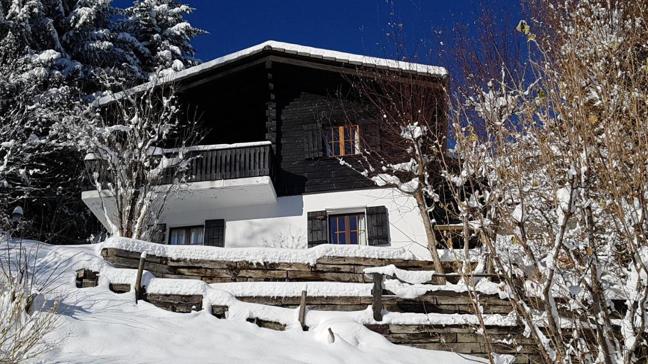 Charming Chalet With Panoramic View And Private Parking In Gruyere Грюйер Экстерьер фото