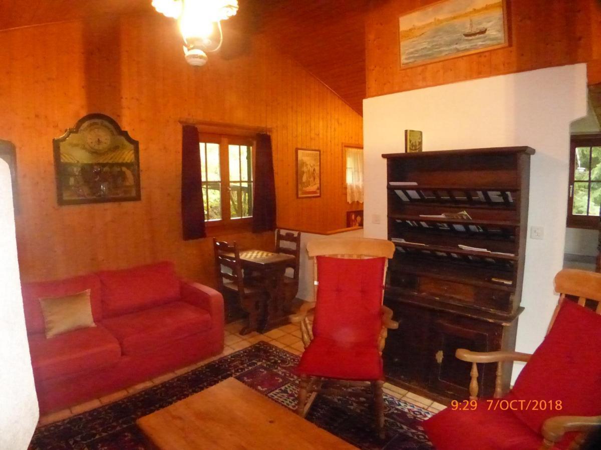 Charming Chalet With Panoramic View And Private Parking In Gruyere Грюйер Экстерьер фото